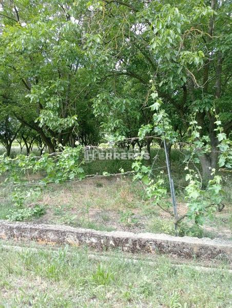 Foto 7805640c-e49a-40e9-ab6d-2c57d1295851. Masia a Arrúbal