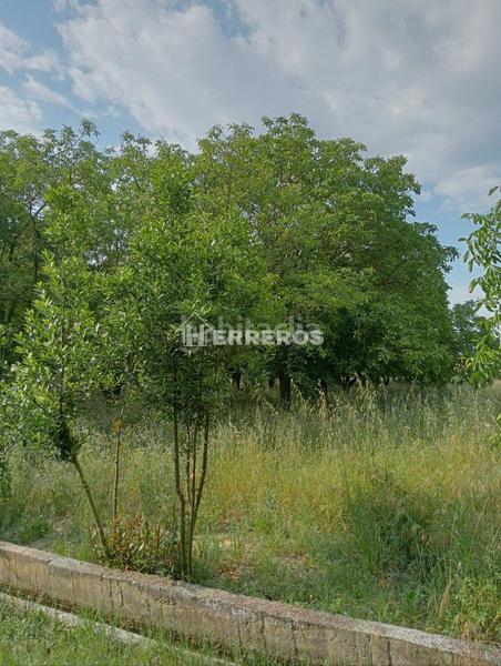 Foto cdf80ab7-dd16-42ff-b002-1e0d3f65a19a. Masia a Arrúbal