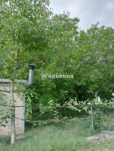Foto ea5d4ed1-4c75-4667-945d-cd8a26d7f913. Masia a Arrúbal