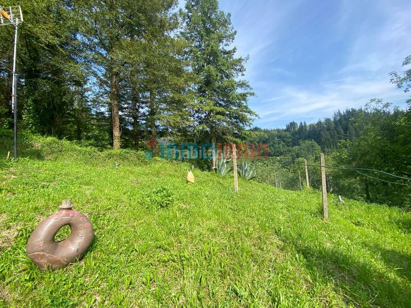 Foto 372b46b0-ac83-42aa-afcb-f4c7fcd54446. Casa gran caserio adosado , garin auzoa en Beasain