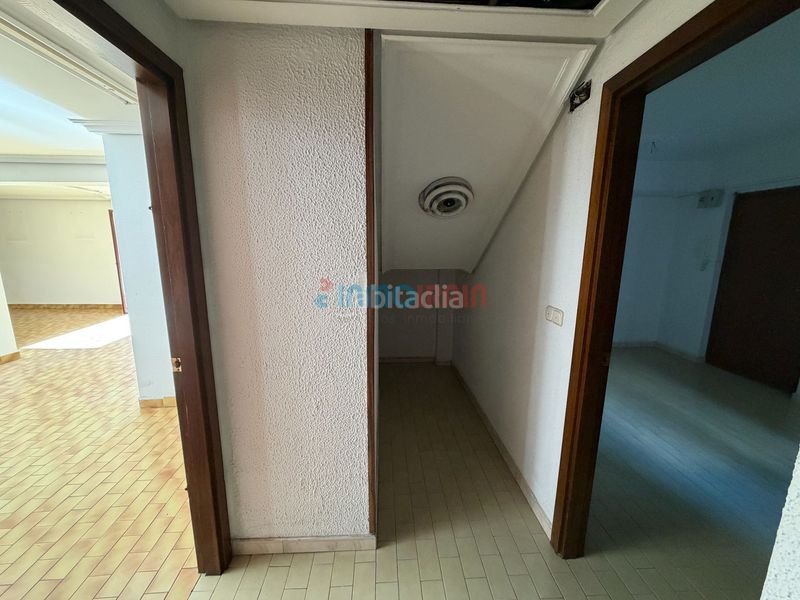Foto b50635a7-a7e2-4a9c-a022-234ea7ec042c. Pis a Ormaiztegi