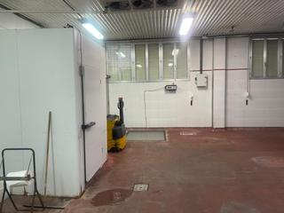 Rent Industrial building in Viana. Impresionante nave