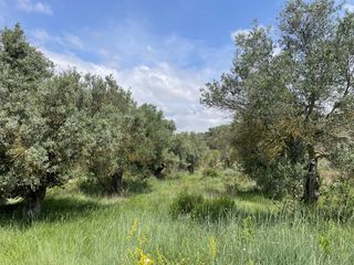 Fondo rustico  Murillo de río leza - el quiñon