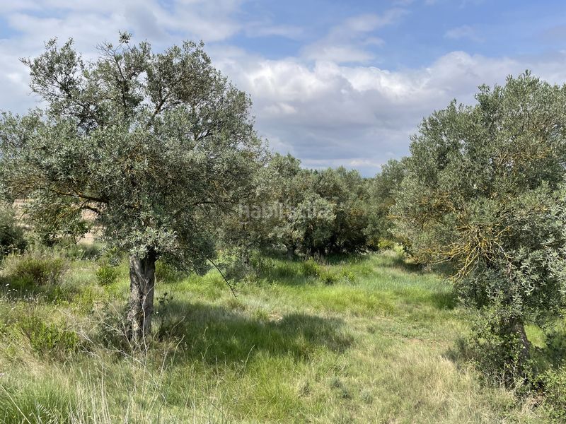 Foto e180de3f-6de6-4963-9b88-9512e61c8309. Finca rústica en Murillo de Río Leza