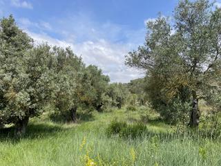 Wohngrundstück in Murillo de Río Leza - EL QUIÑON