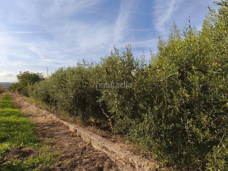 Foto 3ea9efda-8ee0-41c8-b380-718e963f67ca. Terreno residenziale in La Portalada - Varea Logroño