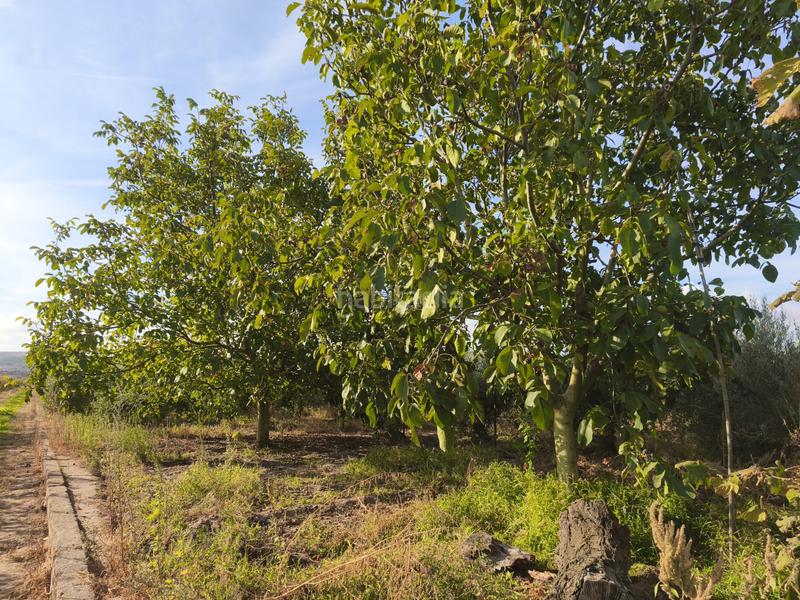 Foto 6131815b-9e94-46aa-a117-53d3a65a5b6d. Terreno residenziale in La Portalada - Varea Logroño