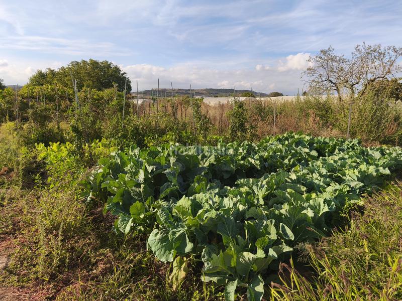 Foto 86608ef0-218a-46ae-a62e-bb84f73b9ff0. Terreno residenziale in La Portalada - Varea Logroño