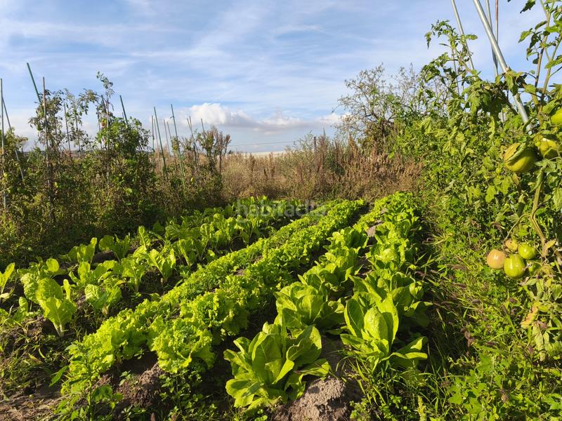 Foto d1a63635-8282-438f-bc31-3dd7626aa5c3. Terreno residenziale in La Portalada - Varea Logroño