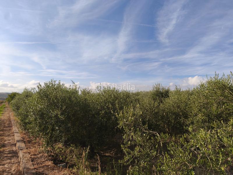 Foto de306682-bdf7-4a97-89a9-da58ab7ca272. Terreno residenziale in La Portalada - Varea Logroño