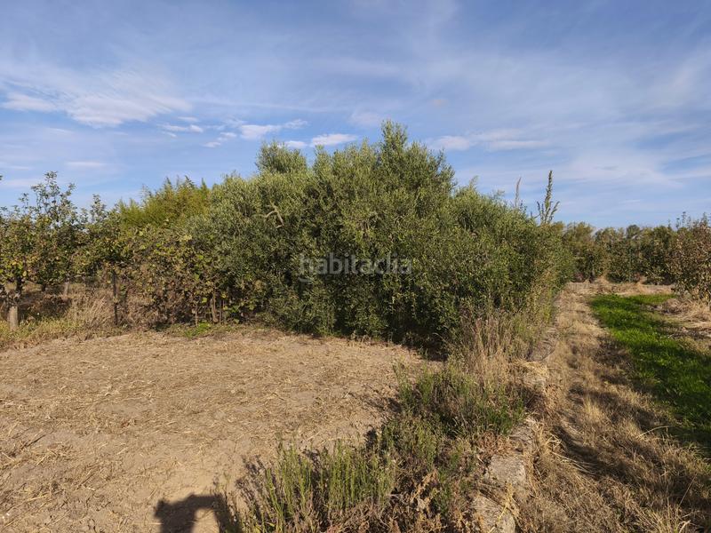 Foto ed02874c-be90-4d73-9d95-f6d35d3e3069. Terreno residenziale in La Portalada - Varea Logroño