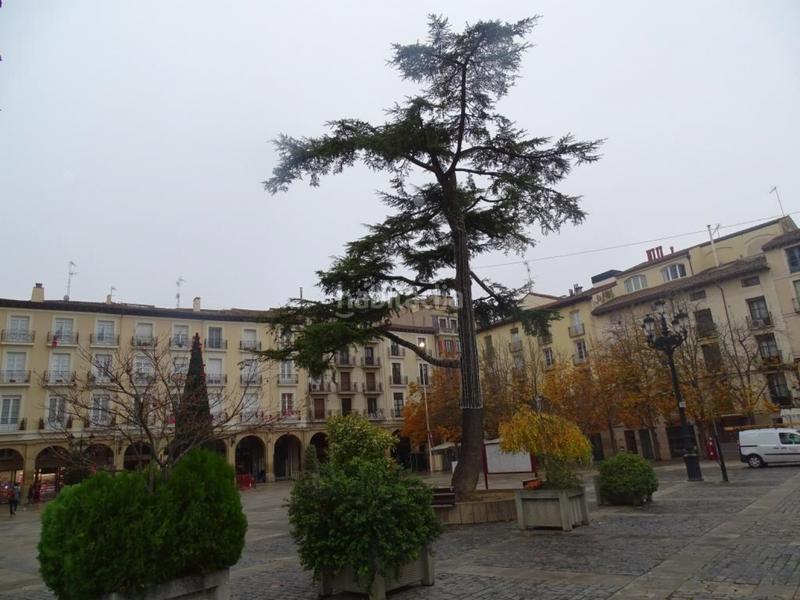 Foto 1102ba4c-587b-4065-8a44-2cdd80cd9bf7. Flat in Casco Antiguo Logroño