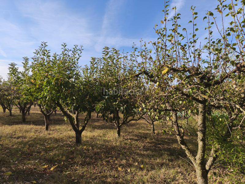 Foto 3232686a-7fa3-4e4c-b403-ea7c45011b6f. Terreno residenziale in La Portalada - Varea Logroño