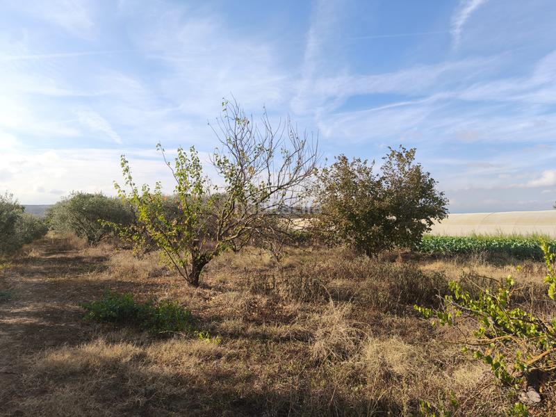 Foto 35f8e9a9-1de1-4a26-927d-2c442175f8fd. Terreno residenziale in La Portalada - Varea Logroño