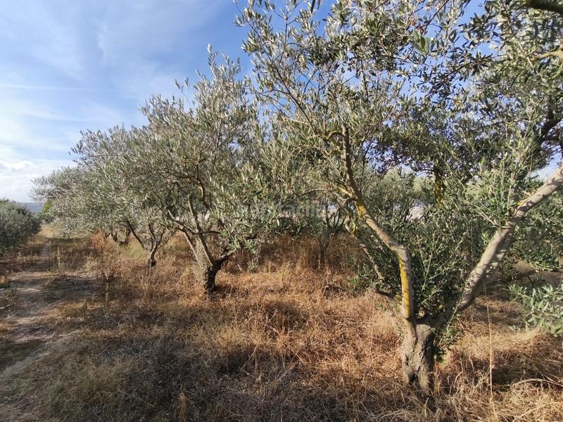 Foto 4c05438e-23b9-425c-8f40-6b40cc84887f. Terreno residenziale in La Portalada - Varea Logroño