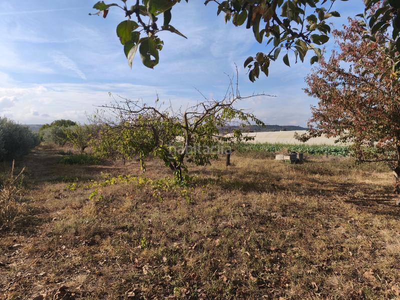 Foto 714dbbf7-9e77-45d9-8f0a-1d61cab367f6. Terreno residenziale in La Portalada - Varea Logroño