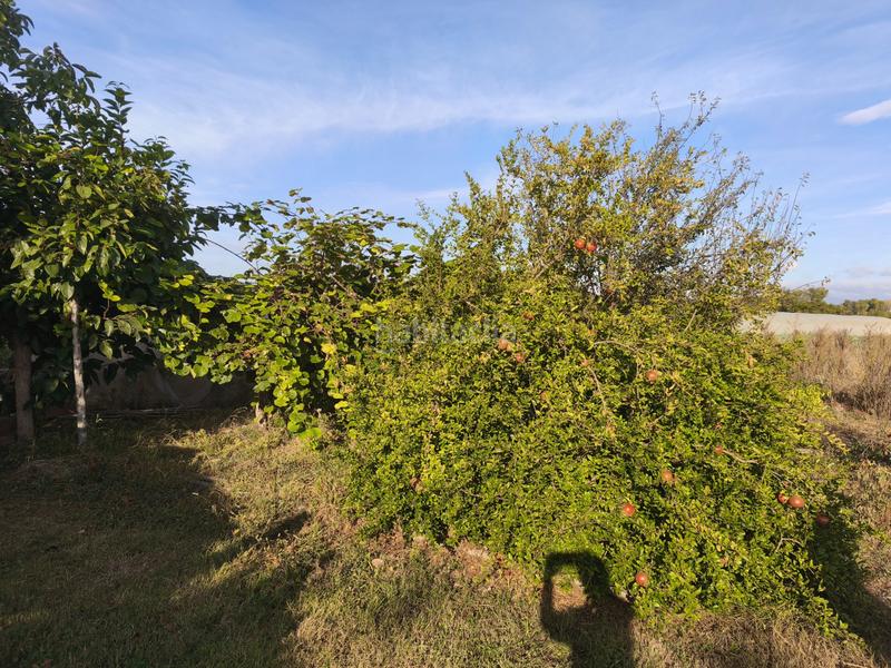 Foto eea6942e-452a-456e-a7da-844a7e5c3aaf. Terreno residenziale in La Portalada - Varea Logroño