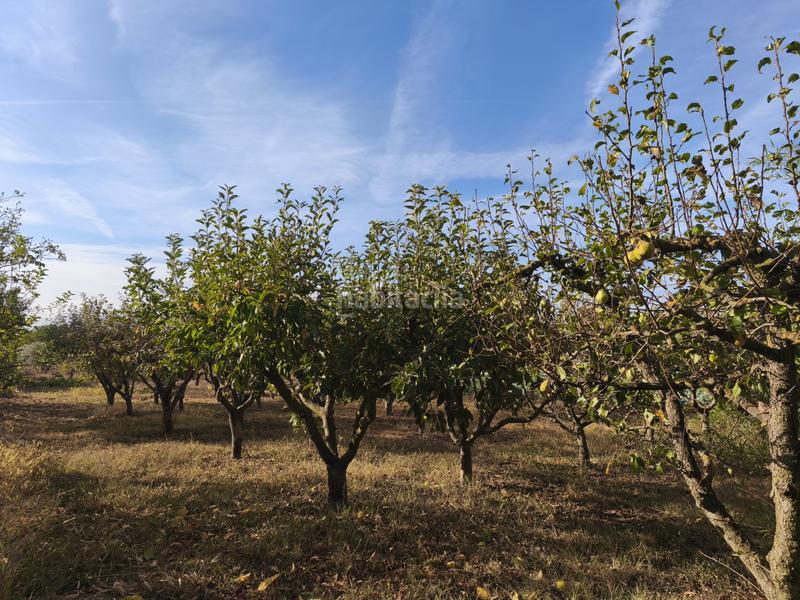 Foto f69c3cca-9fa3-4ece-91bf-43a46da7dd77. Terreno residenziale in La Portalada - Varea Logroño