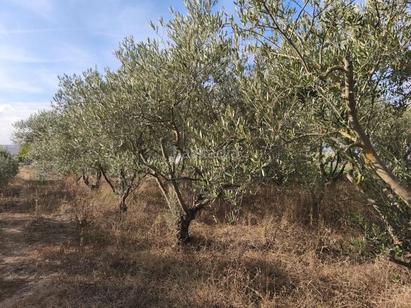 Foto fbdae62e-de21-46ac-8e76-27719836f1de. Terreno residenziale in La Portalada - Varea Logroño