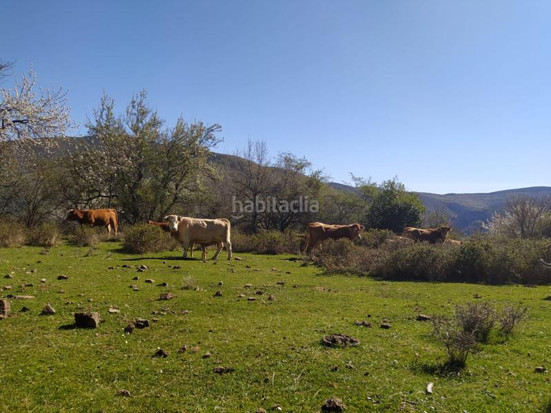 Foto 85a3feda-add4-4095-bfaf-496da37a6403. Maison jumelée avec chauffage dans Brieva de Cameros