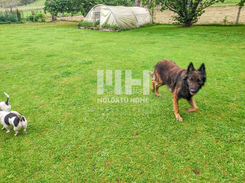 Foto 05351b47-ba79-4ff4-a5fe-bded511c48b2. Casa in Oiartzun