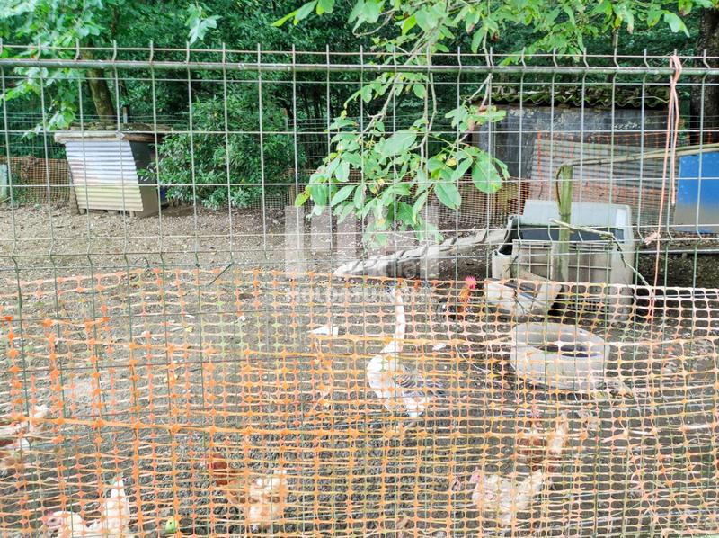 Foto fea9f59a-d531-4b8c-ba6b-bb87d3fcaa7a. Casa in Oiartzun