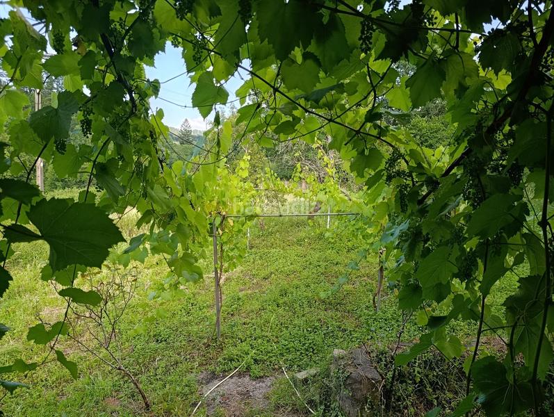 Foto 2c3cff34-02d8-4f20-9e5e-1ecea41aae24. Casa amb calefacció a Zeberio