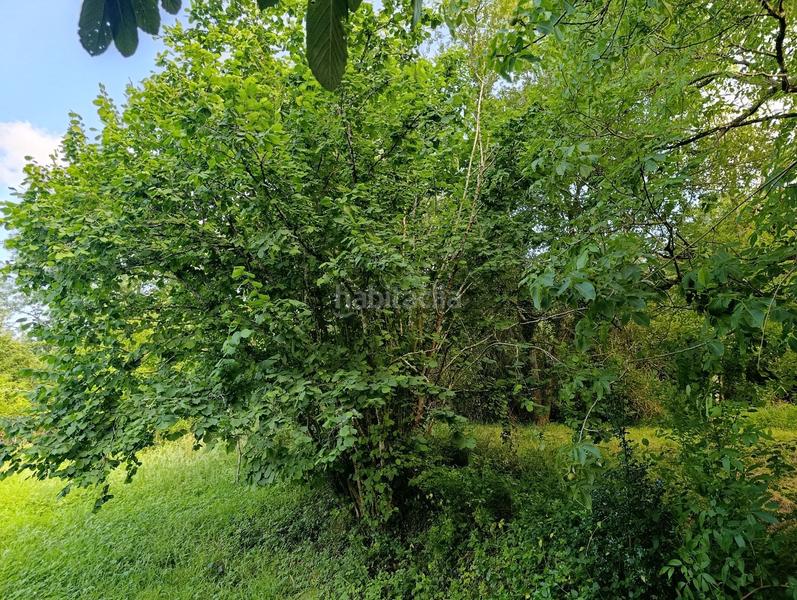 Foto c84a5c48-737d-4795-b63b-ac228e92263e. Casa amb calefacció a Zeberio