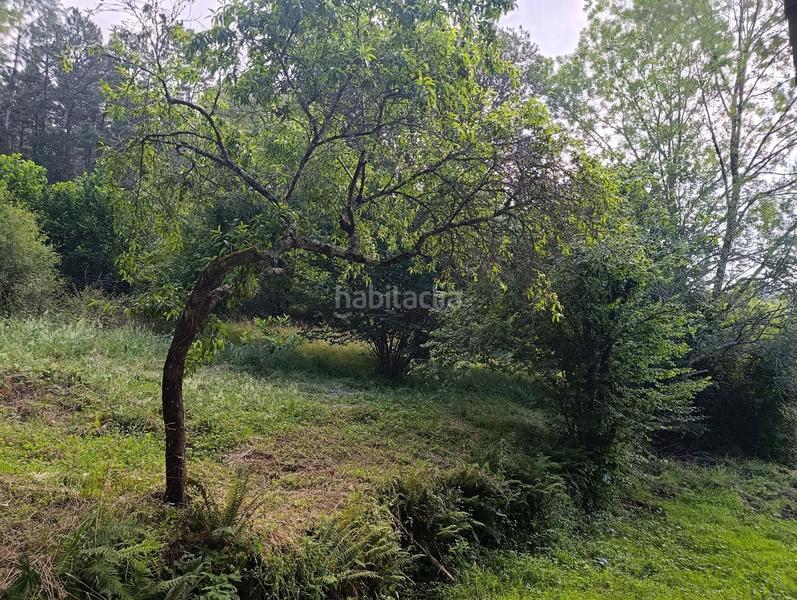 Foto eb63f867-1af9-42fa-bdd9-71adcfae32de. Casa amb calefacció a Zeberio