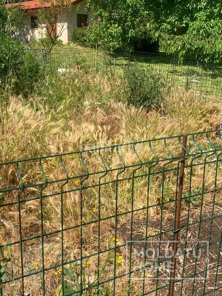 Foto 164abd19-c628-4ad0-92ad-b6874b9d2792. Finca rústica a Belascoáin