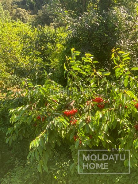 Foto e71a138f-de6d-41c6-b2ab-44511ab21b6b. Finca rústica a Belascoáin