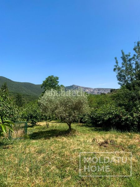 Foto e8aa6b95-45aa-414c-ad86-ae3465916e29. Finca rústica a Belascoáin