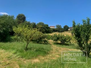 Rural plot  Término errekazar. Finca rústica de 3.200 m con más de 85 árboles frutales y caseta