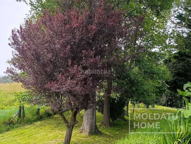 Foto c9b73e0a-b825-41db-bbfa-707fe4ee775d. Casa amb calefacció a Bedia