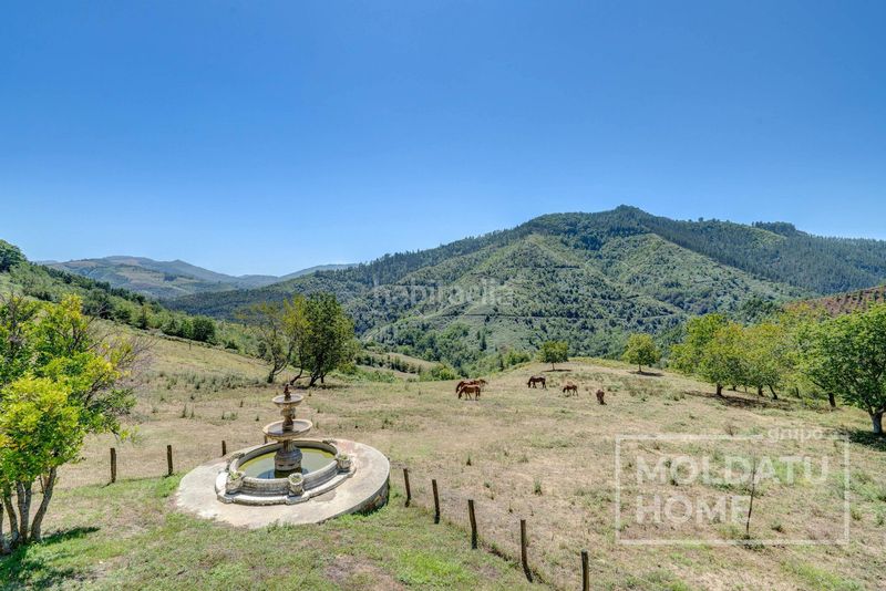 Foto eb23f440-4144-4b0b-8f3e-feaa7b9e5cc4. Casa amb calefacció aparcament a Mendaro