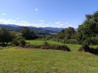 Finca rústica en Lezo. Venta de parcela rústica el lezo
