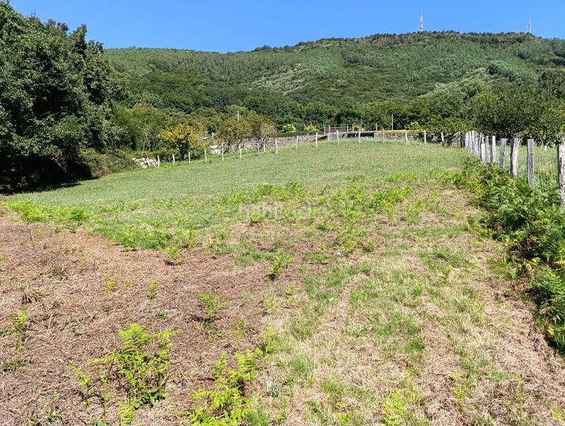 Foto e6068dbb-cc8d-4b2d-b34f-d8b7cfa90537. Finca rústica venta de parcela rústica el en Lezo