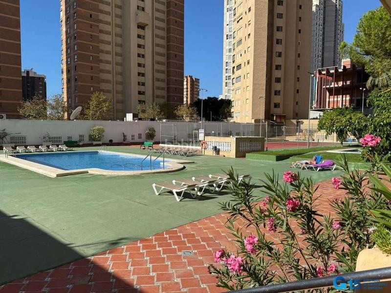 Foto 81c06dd5-d5b1-47ac-a957-8bac7ed600f9. Appartement dans calle ibiza 9 dans Levante Alto Benidorm