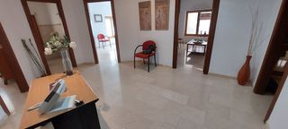 Local Comercial en Centro. Elche, zona centro glorieta, posibilidad de hacer vivienda,entre