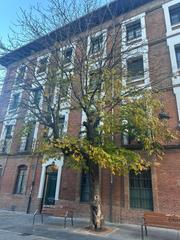 Penthouse  Calle ave maria. Oportunidad estrena piso con vistas a la catedral