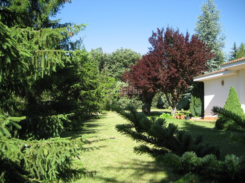 Foto 35dc0326-cca1-46e2-af00-cfc8ea410e5f. Casa a calle anselmo gutiérrez 2 a Vecilla (La)