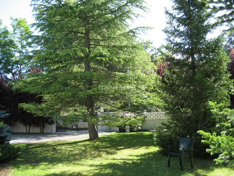 Foto b67953b7-0499-4a62-9659-79f5cfdac7de. Casa a calle anselmo gutiérrez 2 a Vecilla (La)