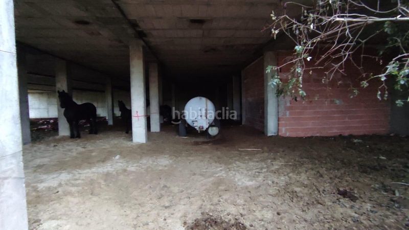 Foto 4d590a98-ae1b-424a-a356-bbdf2b6b1b92. Pis a Benavides
