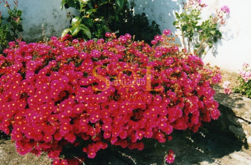 Foto 15f283e7-d0de-4f6e-9e38-8744b63911b6. Casa amb calefacció aparcament a Pravia