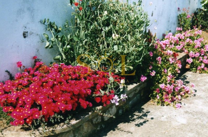 Foto b2f2615b-c372-4f00-b038-70f71a848fee. Casa amb calefacció aparcament a Pravia