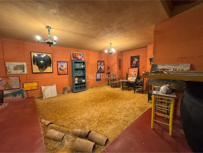 Foto 24a07656-d019-42ae-8b0c-c05d1fbb3651. Chalet in málaga 67 in Aznalcázar