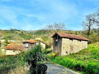Mas à Salas