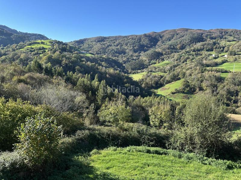 Foto 008bd606-9def-4d49-9476-7a5928630e5f. House in Colunga