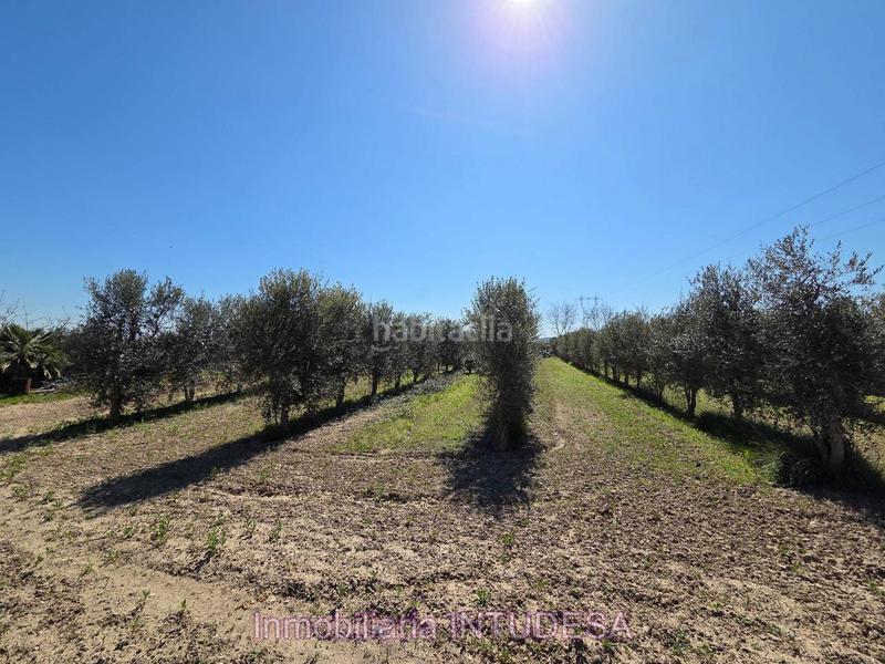 Foto b18f5bf1-c1ba-4d7e-b55d-422e8fb95079. Finca rústica a Lourdes Tudela