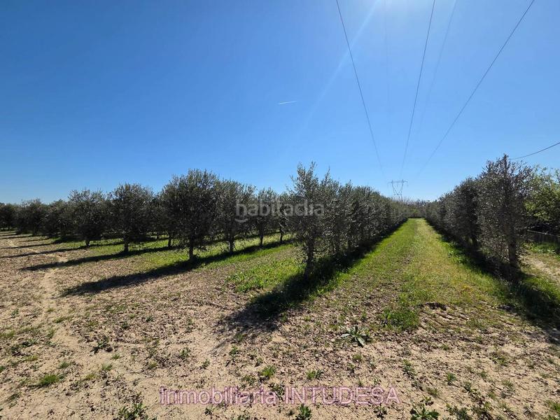 Foto ed2df7da-05ba-4260-8595-2f8560da3e1b. Finca rústica a Lourdes Tudela